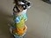 Tangpan Hawaiian Beach Coconut Tree Print Dog Shirt Summer Camp Shirt Clothes YellowS