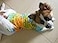 Tangpan Hawaiian Beach Coconut Tree Print Dog Shirt Summer Camp Shirt Clothes YellowS