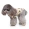 Tangpan Summer Pet Daisy Hawaiian Beach Plaid Print Shirts Clothes for Dog Beige XL