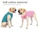 WEONE Dog Summer TShirts Striped Cotton VestPet Breathable Soft Basic Clothes for Small Medium Larg Boy Girl DogsM