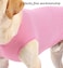 WEONE Dog Summer TShirts Striped Cotton VestPet Breathable Soft Basic Clothes for Small Medium Larg Boy Girl DogsM