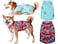 Y-blue Yblue Dog Summer Cooling ShirtsSun Protection Quick Dry Mesh Breathable Small Puppy TeeShirtRedBlue S