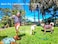 Y-blue Yblue Dog Summer Cooling ShirtsSun Protection Quick Dry Mesh Breathable Small Puppy TeeShirtRedBlue S