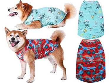Y-blue Yblue Dog Summer Cooling ShirtsSun Protection Quick Dry Mesh Breathable Small Puppy TeeShirtRedBlue S