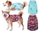 Y-blue Yblue Dog Summer Cooling ShirtsSun Protection Quick Dry Mesh Breathable Small Puppy TeeShirtRedBlue S