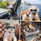 PETLESO Dog Sunglasses Small Breed UV Protection Small Dog Goggles Wind Dust Proof Small Goggles with Adjustable Straps Black