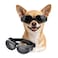 PETLESO Dog Sunglasses Small Breed UV Protection Small Dog Goggles Wind Dust Proof Small Goggles with Adjustable Straps Black