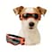 Enjoying Dog Sunglasses Medium Breed Dog Goggles UV Protection Cycling Eye Protection for MediumSmall Dogs Outdoors Breathable Windproof Dustproof AntiFog Adjustable Straps Cool Orange
