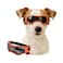 Enjoying Dog Sunglasses Medium Breed Dog Goggles UV Protection Cycling Eye Protection for MediumSmall Dogs Outdoors Breathable Windproof Dustproof AntiFog Adjustable Straps Cool Orange