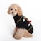 BOBIBI Dog Sweater for Christmas Cartoon Reindeer Pet Cat Winter Knitwear Warm Clothes Medium