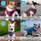 Gooby Zip Up Fleece Dog Sweater Gray Wash XLarge Warm Pullover Fleece Stepin Dog Jacket with Dual D Ring Leash for Small to Medium Dogs
