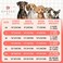 KYEESE Dog Sweater Soft Pullover Dog Sweaters for Small Dogs Male Warm Turtleneck Small Dogs Sweater with Gingham Patchwork Stretchy Knitwear Cat Clothes Thick Pet Coat for Fall Winter Cold Weather
