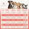 KYEESE Dog Sweater Warm Turtleneck Small Dogs Sweater Stretchy Comfy Pet Coat for Fall Winter Cold Weather Soft Pullover Dog Sweaters for Small Dogs Girl