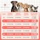 KYEESE Dog Sweater Warm Turtleneck Small Dogs Sweater Stretchy Comfy Pet Coat for Fall Winter Cold Weather Soft Pullover Dog Sweaters for Small Dogs Girl