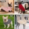 KYEESE Dog Sweater Warm Turtleneck Small Dogs Sweater Stretchy Comfy Pet Coat for Fall Winter Cold Weather Soft Pullover Dog Sweaters for Small Dogs Girl