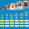 Mihachi Turtleneck Dog Sweater Winter Coat Apparel Classic Cable Knit Clothes with Leash Hole for Cold Weather Ideal Gift for Pet in New Year