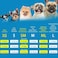Mihachi Turtleneck Dog Sweater Winter Coat Apparel Classic Cable Knit Clothes with Leash Hole for Cold Weather Ideal Gift for Pet in New Year