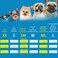 Mihachi Turtleneck Dog Sweater Winter Coat Apparel Classic Cable Knit Clothes with Leash Hole for Cold Weather Ideal Gift for Pet in New Year