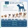 Mihachi Turtleneck Dog Sweater Winter Coat Apparel Classic Cable Knit Clothes with Leash Hole for Cold Weather Ideal Gift for Pet in New Year Green XSmall