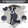 Queenmore Knitted Pullover Dog Sweater Turtleneck Pet Cat Sweater Cold Weather Puppy Clothes Stitching Knitwear with Leash Hole for Small Medium DogsDark BlueS