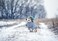 Queenmore Small Dog Pullover Sweater Cold Weather Cable Knitwear Classic Turtleneck Thick Warm Clothes for Chihuahua Bulldog Dachshund Pug Yorkie Grey Medium