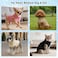 Winmany Pet Dog Turtleneck Knitting Sweater Coat Winter Warmer Thickening Pullover Knitwear Crochet Coat Clothes for Small Medium Dog Cat