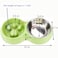 DS.PETTING DSPETTING Slow Feeder Dog cat Double Bowl Stainless Steel and AntiChoking Green