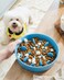 LE TAUCI PET Slow Feeder Dog Bowl Ceramic 15 Cups Blue Nonslip Base