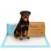 PETSWORLD Extra Large Potty Pads for Dogs Odor Eliminating 30 x 36 100 Count Pee Pads for Pets Gigantic XL Dog Pads 5 Layer Ultra Absorbent Technology Leak Proof Training Pads for Dogs Cats