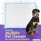 PETSWORLD Extra Large Potty Pads for Dogs Odor Eliminating 30 x 36 100 Count Pee Pads for Pets Gigantic XL Dog Pads 5 Layer Ultra Absorbent Technology Leak Proof Training Pads for Dogs Cats