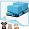vjj VJJ Dog Pads 100 Pack 30x35 Dog Pads Extra Large for Pets Disposable Large Pee Pads for Doggy Puppy Training Pads Piddle Pads for Indoor Outdoor Use