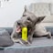 Hyper Pet Fetching Dog Toys Throwing Bone Toy Made of EVA Foam Lightweight Floats on Water