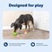 PetSafe Busy Buddy Elephunk Dog Chew Toy Treat Dispenser MediumLarge