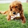 Tikaton Hammerbone Durable Dog Chew Toy for Aggressive Chewers Beef Flavor Dog Toy Large