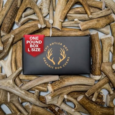 THE ANTLER The Antler Box Premium Deer Antler Dog Chews 1 lb Bulk Pack Large 3 to 4 Antlerslb