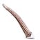 Big Sky Medium Elk Antler Dog Chew 1 Count Natural Whole Antler for Aggressive Chewers Durable OdorFree Dental Support