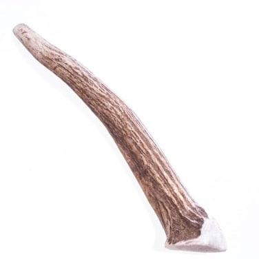 Big Sky Medium Elk Antler Dog Chew 1 Count Natural Whole Antler for Aggressive Chewers Durable OdorFree Dental Support