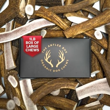 THE ANTLER The Antler Box Premium Elk Antler Dog Chews 1 Pound Box Large 3 Pieces Split Only