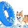 NWK Pet Teether Cooling Chew Toy for Dogs Teething Toy for Puppies Fit with Treats for More Fun Chewing Ring