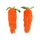 Midlee Plush Carrot Easter Dog Toy Pack of 2