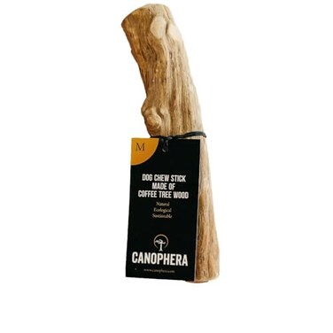 Canophera Coffee wood dog chew sticks for regular chewers Size Medium