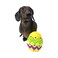 Midlee Plush Easter Egg Dog Toy with Squeaker YellowLarge