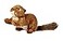 Fluff &amp; Fluff Tuff SQUEAKERLESS Red Squirrel