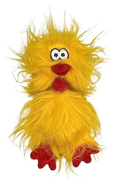 Glory To Dog Phyllis The Crazy Chicken Plush and Squeak Small and Medium Breed Dog Toy