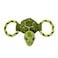 Jolly Pets Jolly TugaMal Turtle TugSqueak Toy Small