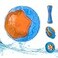 CoubonTail Dog Squeaky Toys Pool Beach Toys for Interactive Fetch Play TPR