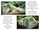 FROSTO Aquarium Terrarium Corner Underground Cave Faux Mangrove Root Hideout for Betta Corydoras Shrimp Geckos Snakes NaturalLook Tank Decor in Textured Root Style Desert Tan 75x75x4
