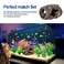 CousDUoBe Fish Broken Barrel Decor Fish Tank Decorations Betta Fish Tank AccessoriesStarfish Barrel x 1pc Aquarium Plants x 8pcs