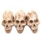 Driak 3Pcs Fish Tank Decorative Aquarium Decorations Head Bone Skull Resin Ornament for Reptile or Fish