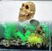 Driak 3Pcs Fish Tank Decorative Aquarium Decorations Head Bone Skull Resin Ornament for Reptile or Fish
